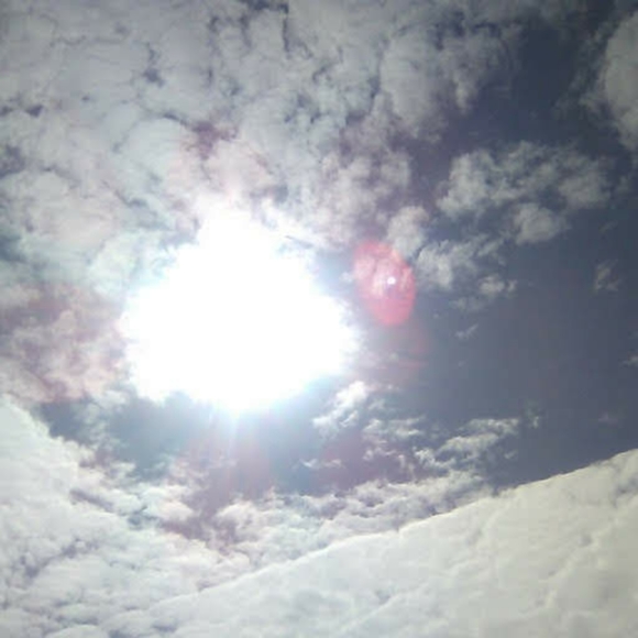 Not 4 Sale - Picture 16 of 16